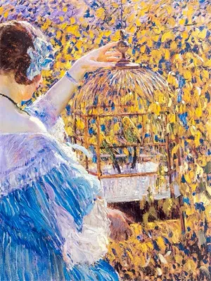 安国建狂怒骑士退役了吗