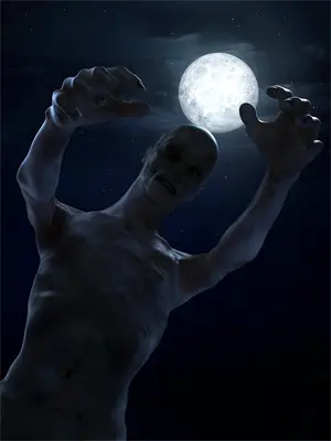 随笔书仙