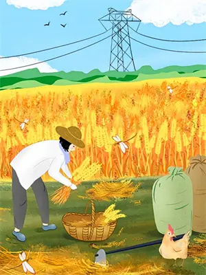 太子追妻火葬场了吗